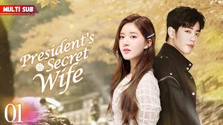 Presidents Secret Wife💕EP01  zhaolusi  Pregnant bride encountered CEO❤️‍🔥Destiny took a new turn [upl. by Zzahc]