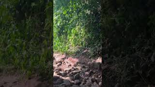 Anchuruli waterfalls idukki waterfall [upl. by Kester]