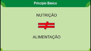 NUTRIÇÃO  ALIMENTAÇÃO [upl. by Licht]