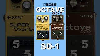 OCTAVE OC2 SD1 GUITAR DEMO SD1 BOSS [upl. by Nagud]