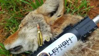 Lehigh Defense 62 Grain Controlled Chaos Copper 22 Nosler Review With Coyote Kill [upl. by Pam]