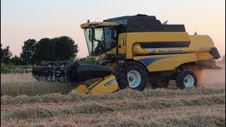 New Holland CSX 7040 Trebbiatura frumento 2017 Full HD 1080p [upl. by Crofoot]