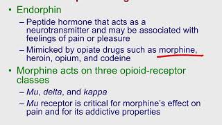 Human Neuropsych Psychopharmacology [upl. by Amend]