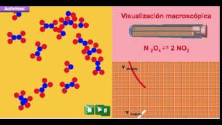 descomposición N2O4 [upl. by Macario]