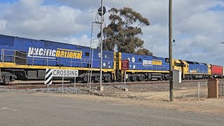 4PM4 PN Steelintermodal NR73 NR91 G530 Spencer Jnc to Melbourne 1045 61024 Dimboola VIC [upl. by Weingarten]