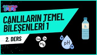 Canlıların Temel Bileşenleri 1 tytbiyoloji 2ders [upl. by Flodur]