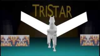 TriStar Pictures Logo 1993 with Sony Pictures Entertainment byline [upl. by Redna]