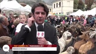 Francesco Mandelli alla Transumanza 2017  Quelli che il calcio 01102017 [upl. by Rutter]