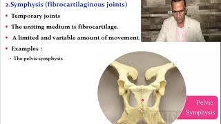 General Arthrology part 2 [upl. by Casandra]