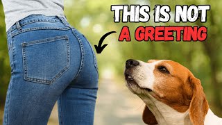 Dogs Sniffing Butts 23 old Dogs Behavior And Meanings Behind Them [upl. by Hezekiah]