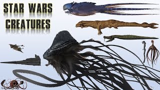 20 Biggest Star Wars Monsters  Explained [upl. by Melita647]