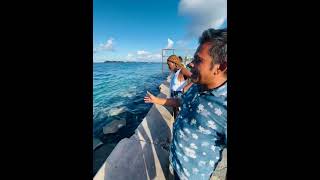 We found Stingray fish in Maldives [upl. by Kevyn]