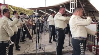 Fiesta en Jalisco  Mariachi Vargas de Tecalitlán 05 de febrero 2017 Lienzo Charro Hermanos Ramírez [upl. by Ike]