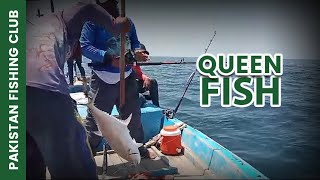 Deep sea fishing Catching Queen Fish [upl. by Dnomsaj]