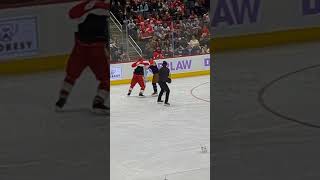 Darren McCarty fights one of the Jims [upl. by Kcuhc]