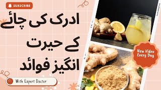 Ginger Tea Benefits in Urdu healthtips ginger food drasifizhar shortsfeed shorts [upl. by Gerstner]