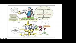 Organophosphate Poisoning [upl. by Yelha]