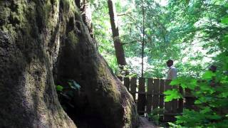 The Official Sooke British Columbia Tourism Video [upl. by Luy]