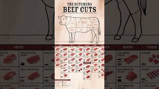 Beef parts and steak knowledge for chef [upl. by Keefe]