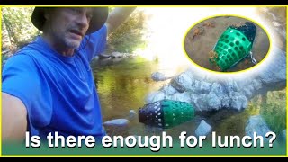 Does a 3D Printed Crawfish Trap Really Work  Lets find out  3D Prospecting [upl. by Wittie449]