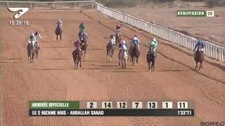 Live Hippodrome « MARRAKECH »  Courses du « 17012022 » [upl. by Gallard225]