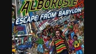 Alborosie  No Cocaine [upl. by Yatnoed465]