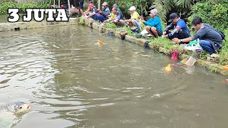 Gilaa Kolam Ini Di Luar Dugaan‼️Ternyata Ikannya Banyak Dan Babon Babon [upl. by Atinal540]