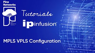 IP Infusion OcNOS Tutorial 11  VPLS configuration [upl. by Hunt]