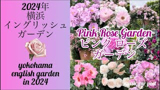 【2024年 横浜イングリッシュガーデン 〜ピンクローズ ガーデン〜】yokohama english garden「pink rose garden」 [upl. by Ynobe]