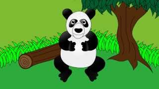 Meet the Panda  Animals at the Zoo  Animal Sounds  Learn the Sounds Zoo Animals Make [upl. by Hole]