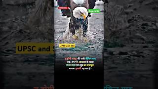 MUST SEE Insane eagle devours fish wholewhile flying wildlife birdseaglesshorts motivation [upl. by Tabor]