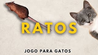 Jogos para Gatos  RATOS para Gatos 🐀 [upl. by Asiak888]