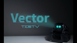 有感情的机器人 Vector【值不值得买第310期】 [upl. by Jadwiga666]