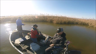 December fishing for STRIPE BASS [upl. by Cobb]