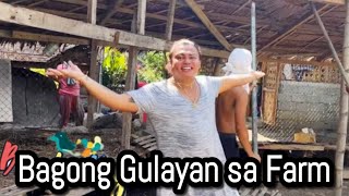 Bagong gulayan sa Farm [upl. by Elayne807]