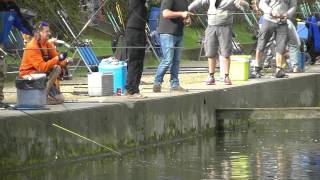 Impressie van wedstrijd quotBelgium Open Duo Trout Cup 2015quot [upl. by Davide]