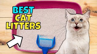 The BEST Cat Litters of 2023 Expert Recommended [upl. by Sender83]