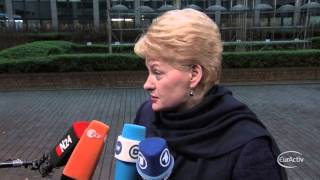 Lithuanian president arrives at the February 2013 EU Summit Council [upl. by Marb]