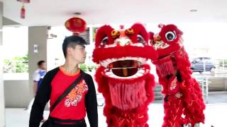 CNY Lion Dance Performance 2017 [upl. by Emmey]