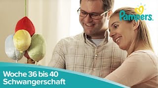 Schwangerschaftswoche 36 bis 40  Kurz vor der Geburt l Pampers [upl. by Bethany405]