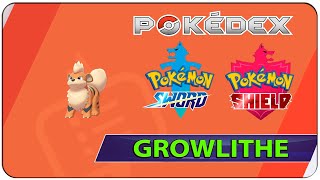 How to Catch Growlithe  070 Pokemon Sword amp Shield  Galar Pokedex [upl. by Sanbo818]