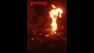 Agnihotra यज्ञ 🔥 arya Samaj sanatandharma vidushianjaliarya [upl. by Laurentium]