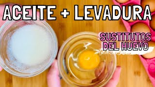 🥚Sustituir el huevo por ACEITE Y LEVADURA para Repostería Esponjosa 🥐 Vídeo 2  Curso Gratuito [upl. by Liamaj]