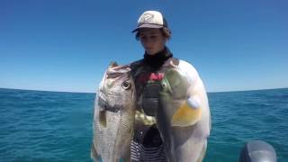 Spearfishing West Oz Life  Part 1 [upl. by Ysac]