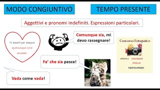 Italiano per stranieri Lezione 125 QUANDO USARE IL CONGIUNTIVO AGGETTIVI E PRONOMI INDEFINITI [upl. by Ahcsas]