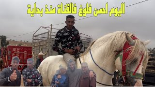 اجواء سوق سطات مع بنك شعبي وحباب لي دخلت خيول في المستوى [upl. by Ahsenev]