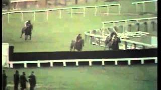 Ten Up The 1975 Cheltenham Gold Cup [upl. by Costa]