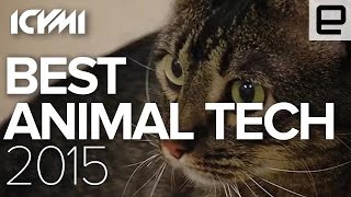 The Best Animal Tech of 2015 [upl. by Verda]