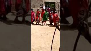 Maasai traditional dance [upl. by Sucramel]