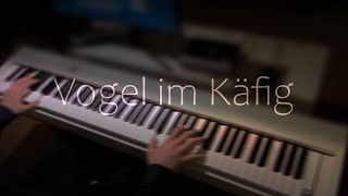 Vogel im Käfig  AOT  Best Part Piano [upl. by Kyte]